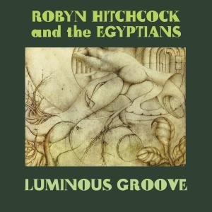 Cover for Robyn Hitchcock · Luminous Groove Box Set (CD) [Bonus CD edition] [Box set] (2008)