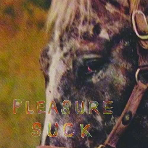 Cover for Spirit Of The Beehive · Pleasure Suck (CD) [Digipak] (2017)