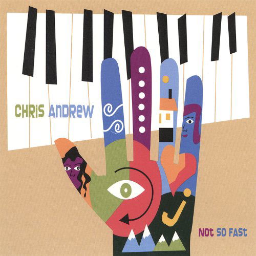 Cover for Chris Andrew · Not So Fast (CD) (2016)