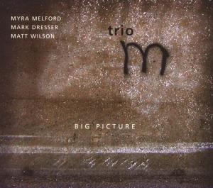 Big Picture - Myra Melford - Musik - CRYPT - 0671860013426 - 24. januar 2008