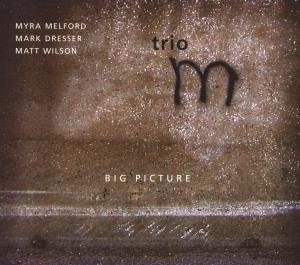 Cover for Myra Melford · Big Picture (CD) (2008)