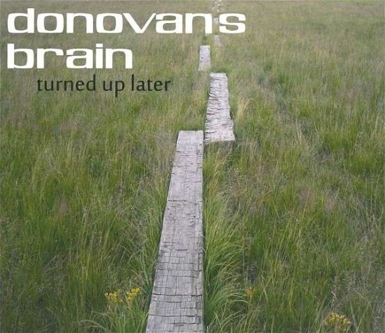 Cover for Donovan's Brain · Turned Up Later (CD) (2013)