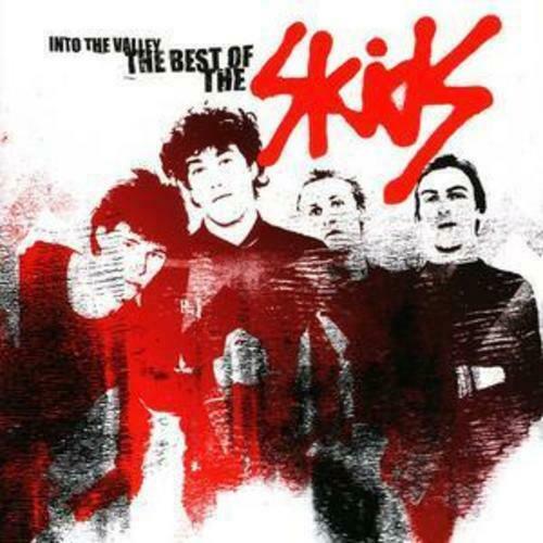 Into The Valley - The Best Of - Skids - Muzyka - EMI GOLD - 0724356021426 - 10 stycznia 2005