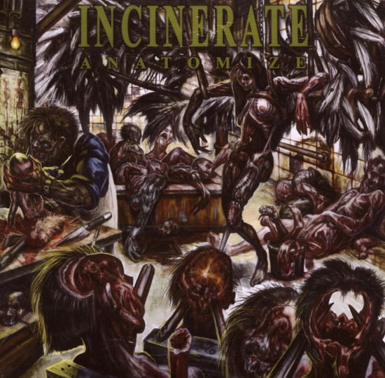 Cover for Incinerate · Anatomize (CD) (2008)