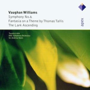 Sinfonie 6/the Lark Ascen - Vaughan Williams - Musikk - WARNER APEX - 0809274958426 - 24. februar 2003