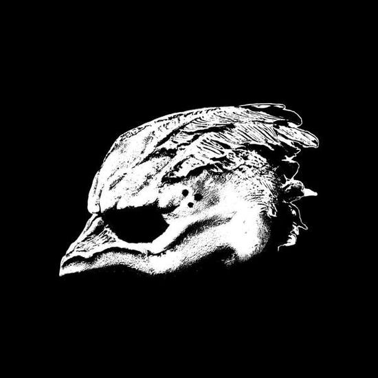 Legend of the Seagullmen - Legend of the Seagullmen - Musik -  - 0821826021426 - 9. Februar 2018