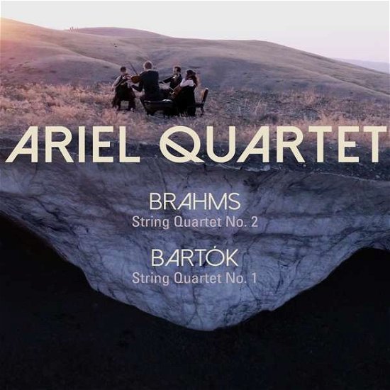 String Quartet No.1 - Bartok / Brahms - Musik - AVIE - 0822252238426 - 21. juni 2019