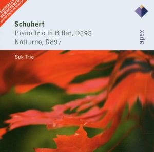 Schubert: Piano Trio D. 898 / - Suk Trio - Música - WEA - 0825646016426 - 24 de novembro de 2010