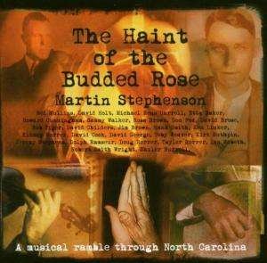 Haint of the Budded Rose - Martin Stephenson - Musique - United States Dist - 0825947120426 - 7 octobre 2009