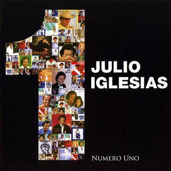 Numero Uno - Julio Iglesias - Musikk - SONY MUSIC - 0887254109426 - 29. mai 2012