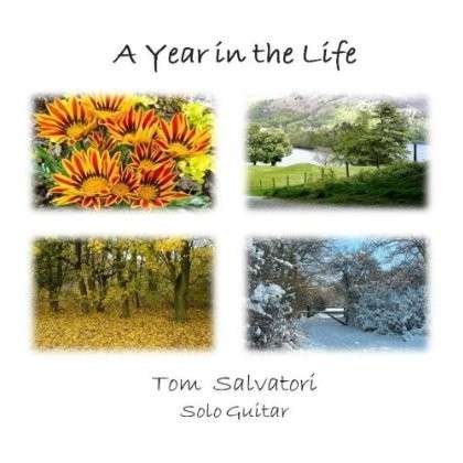 Cover for Tom Salvatori · A Year in the Life (CD) (2013)