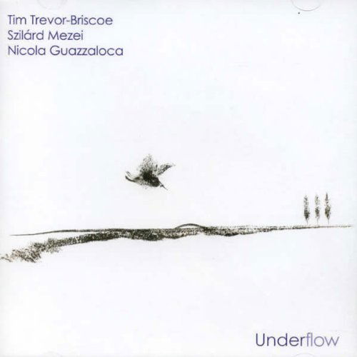 Cover for Tim Trevor-Briscoe · Underflow (CD) (2011)