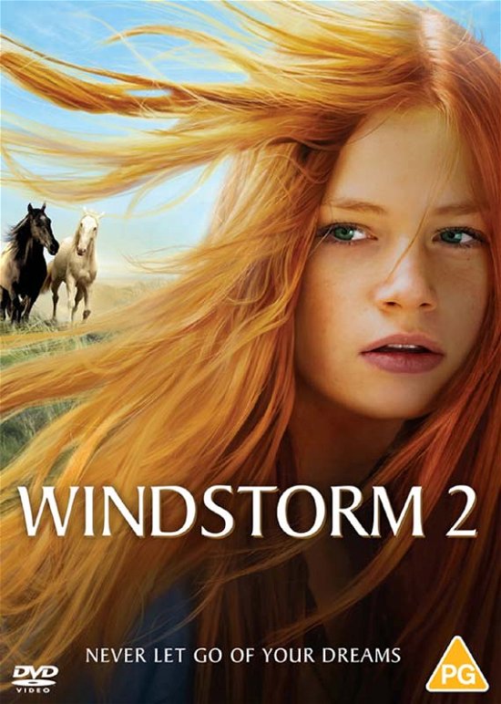 Cover for Windstorm 2 (DVD) (2021)