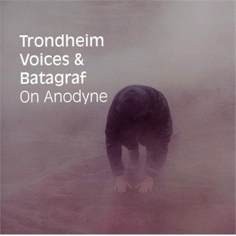 Cover for Trondheim Voices &amp; Batagraf · On Anodyne (CD) (2017)