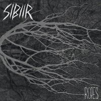 Cover for Sibiir · Ropes (LP) (2019)