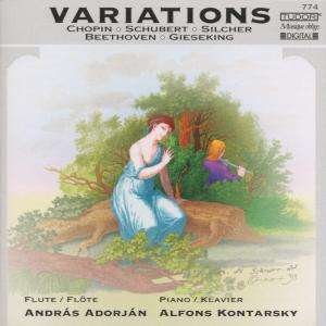 Cover for Adorjan,Andras / Kontarsky,A. · * Variationen (CD) (2004)