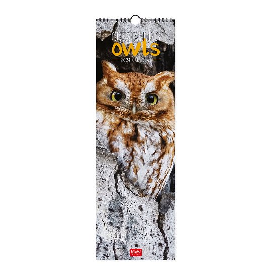 Cover for Legami · Wall Calendars - 2024 Wall Calendar - Outstanding Owls - 16x49 - Animals (Paperback Bog) (2023)