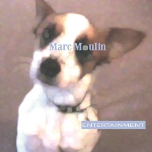 Marc Moulin-entertainment - LP - Musik - MOV - 8718469537426 - 9. marts 2015