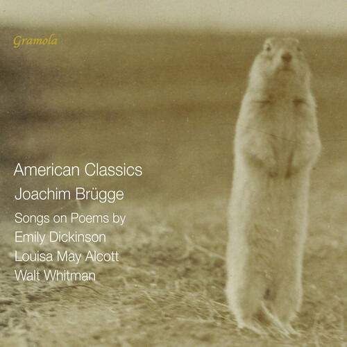 Brugge / Loy / Kranjc / Dinglinger · American Classics - Songs on Poems by Emily (CD) (2024)