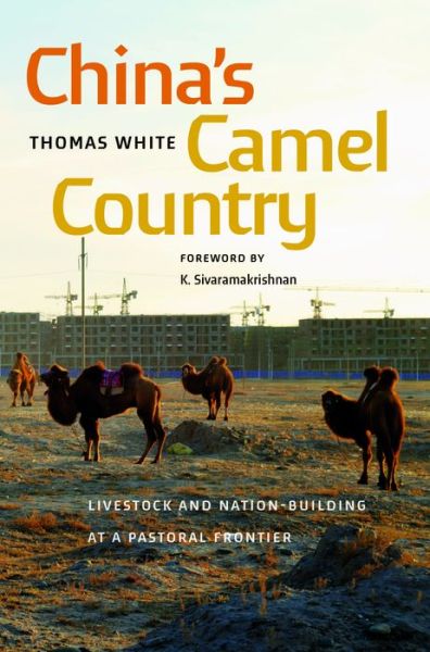 Cover for Thomas White · China's Camel Country: Livestock and Nation-Building at a Pastoral Frontier - China's Camel Country (Hardcover Book) (2024)