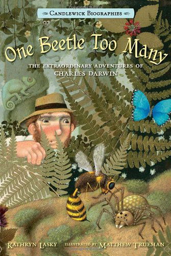 Cover for Kathryn Lasky · One Beetle Too Many: Candlewick Biographies: the Extraordinary Adventures of Charles Darwin (Hardcover Book) (2014)