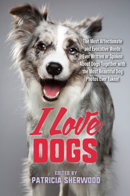 Cover for I Love Dogs - I Love (Paperback Book) (2025)
