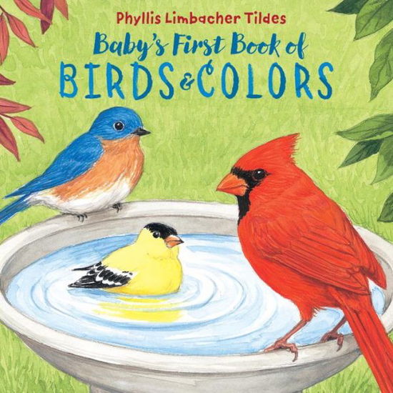 Cover for Phyllis Limbacher Tildes · Baby's First Book of Birds &amp; Colors (Board book) (2017)