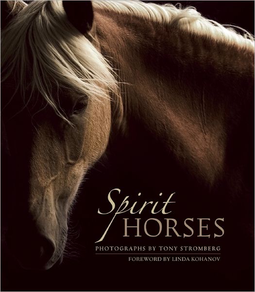 Cover for Tony Stromberg · Spirit Horses (Paperback Bog) (2012)