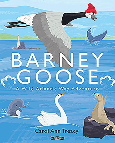 Cover for Carol Ann Treacy · Barney Goose: A Wild Atlantic Way Adventure (Hardcover Book) (2020)