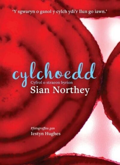 Cover for Sian Northey · Cylchoedd (Paperback Book) (2020)