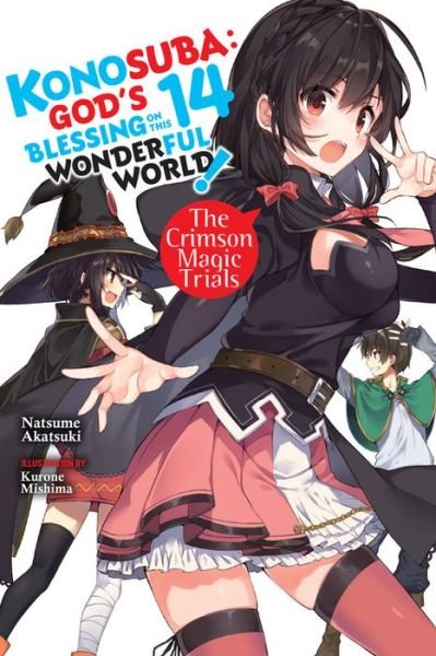 Cover for Natsume Akatsuki · Konosuba: God's Blessing on This Wonderful World!, Vol. 14 light novel - KONOSUBA LIGHT NOVEL SC (Pocketbok) (2021)