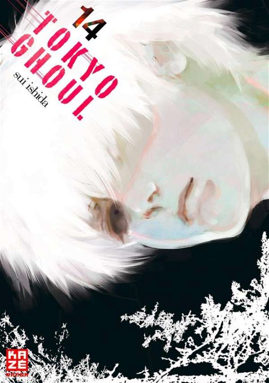 Cover for Ishida · Tokyo Ghoul 14 (Bog)
