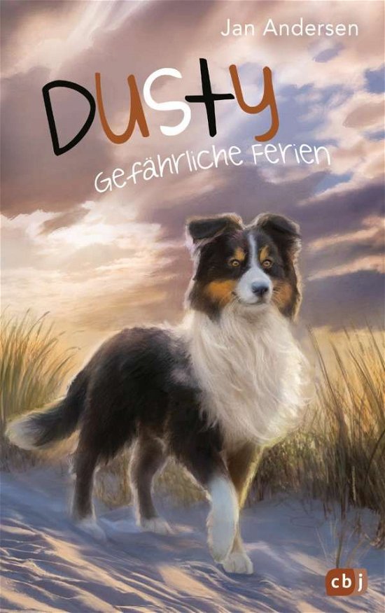 Cover for Andersen · Dusty - Gefährliche Ferien (Book)