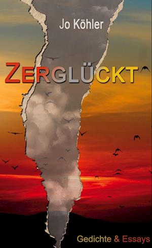 Cover for Jo Köhler · Zerglückt (Book) (2022)
