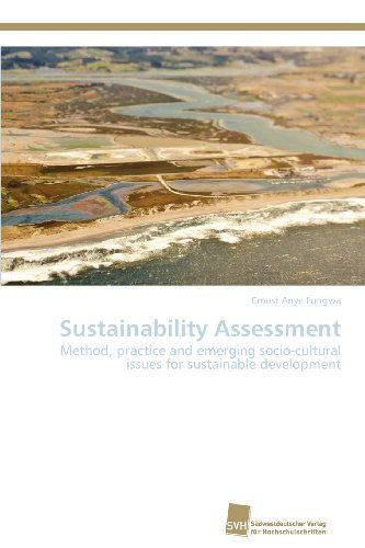 Cover for Ernest Anye Fongwa · Sustainability Assessment: Method, Practice and Emerging Socio-cultural Issues for Sustainable Development (Paperback Book) (2012)