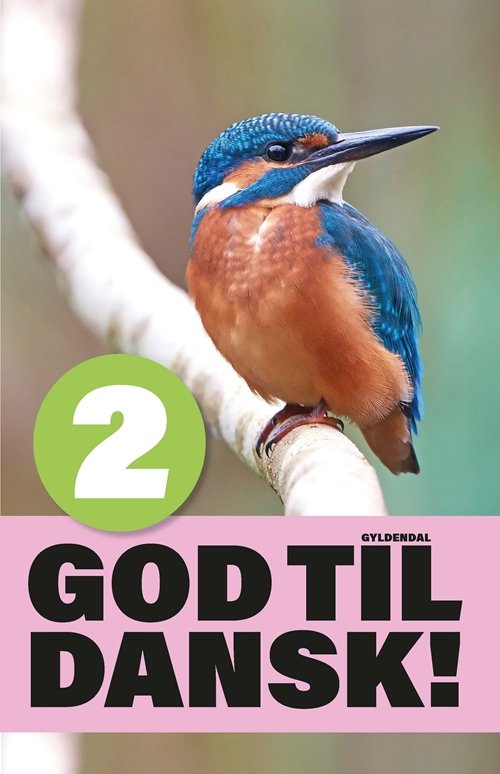 Cover for Gitte Olling Nygaard · God til dansk!: God til dansk 2 (Sewn Spine Book) [1. Painos] (2019)