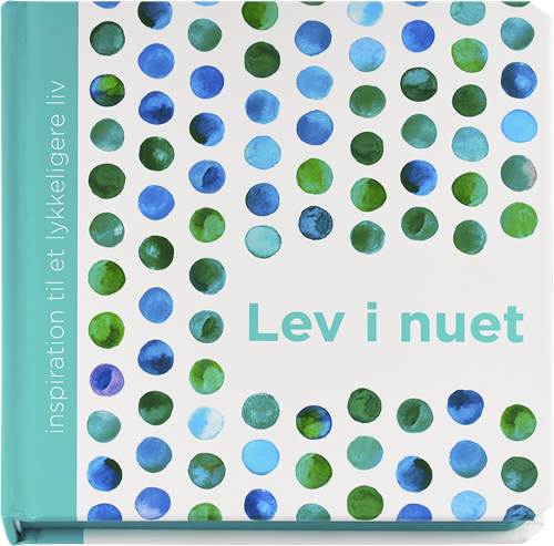 Cover for Dani DiPirro · Lev i nuet (Gebundesens Buch) [1. Ausgabe] (2016)