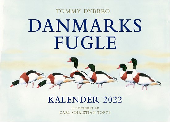 Danmarks fugle - kalender 2022 - Carl Christian Tofte; Tommy Dybbro - Kirjat - Politikens Forlag - 9788740072426 - torstai 14. lokakuuta 2021