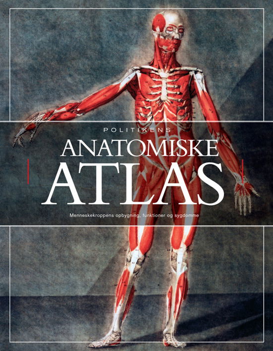 Cover for Tony Smith · Politikens anatomiske atlas (Bound Book) [1. wydanie] (1996)