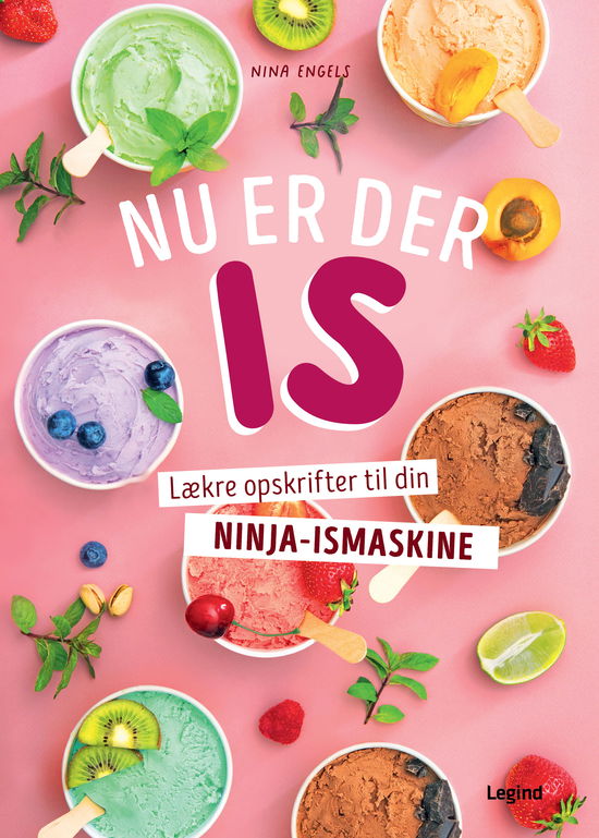 Cover for Nina Engels · Nu er der is (Indbundet Bog) [1. udgave] (2025)
