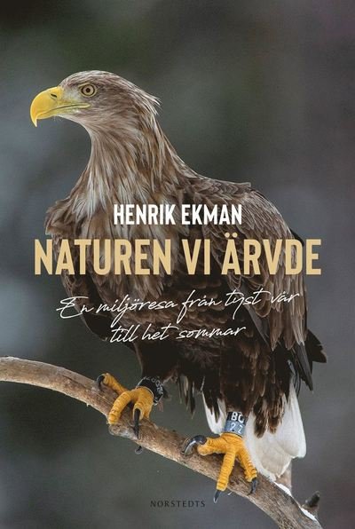 Cover for Henrik Ekman · Naturen vi ärvde : En miljöresa från Tyst vår till het sommar (Bound Book) (2021)