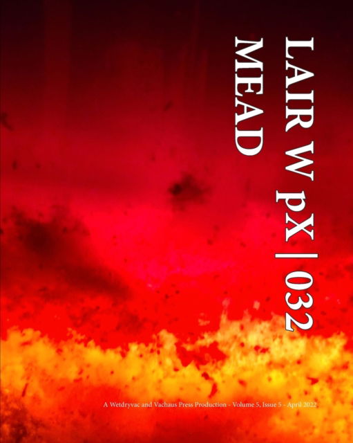 Cover for Wetdryvac · LAIR W pX 032 Mead (Paperback Book) (2024)