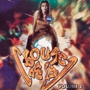 Cover for Various Artists · Bouge De La, Volume 2- (CD)