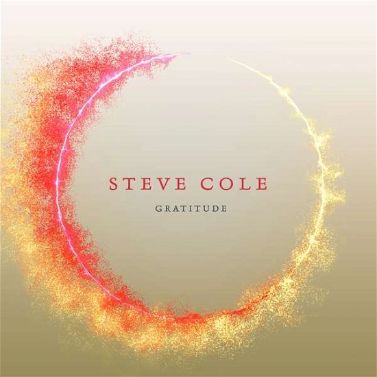 Gratitude - Steve Cole - Música - ARTISTRY - 0181475706427 - 2 de agosto de 2019