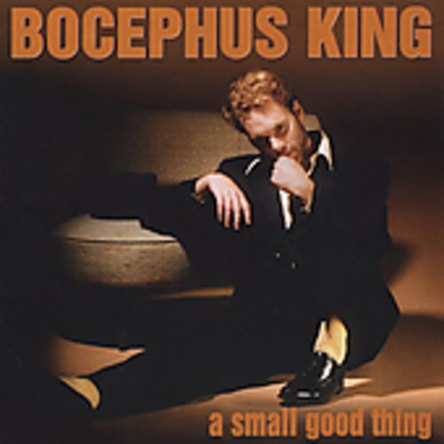 Cover for Bocephus King · Small Good Thing (CD) (1999)