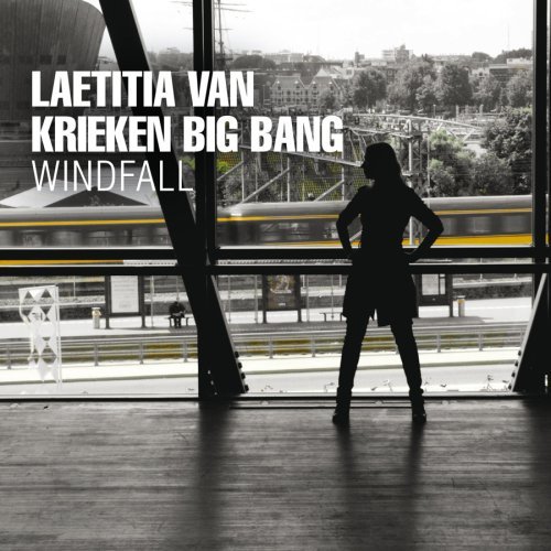 Cover for Laetitia Van Krieken · Windfall (CD) (2009)