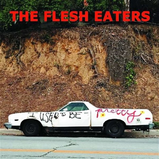 I Used To Be Pretty - Flesh Eaters - Musique - YEP ROC - 0634457264427 - 18 janvier 2019