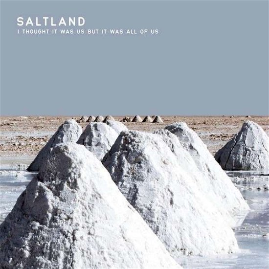 I Thought It Was Us But It Was All Of Us - Saltland - Musique - CONSTELLATION - 0666561009427 - 9 mai 2013