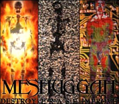 Cover for Meshuggah · Destroy Erase Improve (CD) (1995)