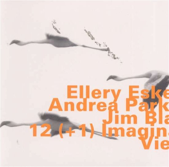 Cover for Ellery Eskelin · Imaginary View (CD) (2002)